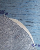 2025-07-003,Diaphaerisches-Blau